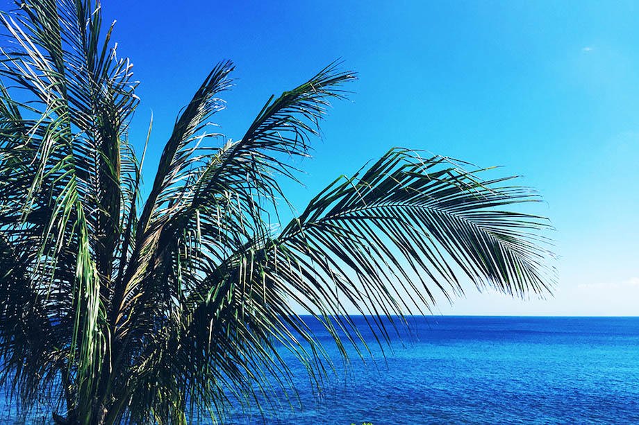 Travel with Jane Interview with Katinka Somers We Are Handsome Swimwear